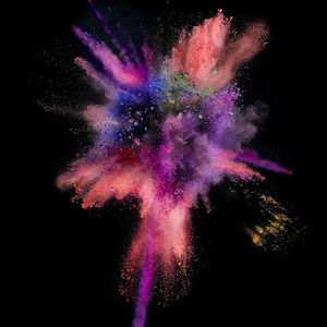 Meet your Posher, Audrey